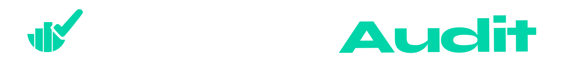 SimulaAudit